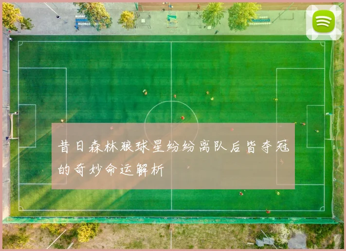 昔日森林狼球星纷纷离队后皆夺冠的奇妙命运解析